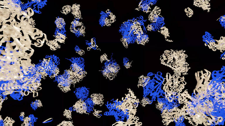 Run Key Genomics and Protein Folding Workloads Faster with NVIDIA RTX PRO 4500 Blackwell 