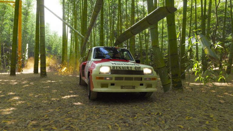 Where to find bamboo in Forza Horizon 6