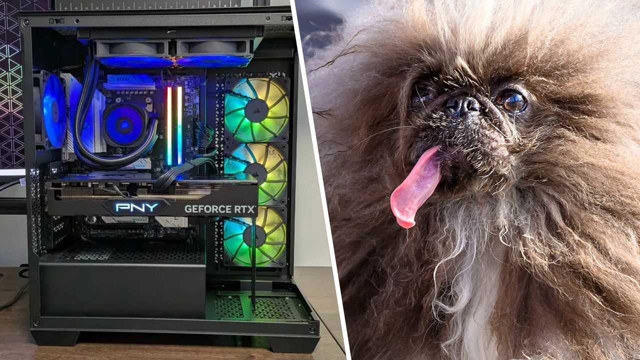 Dog tries to shoot PC gamer, but their rig (and RAM) takes the bullet instead: ‘It would have hit me while I was sleeping if the PC hadn’t been there’
