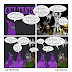 Greyhawkery Comics: Cultists #42