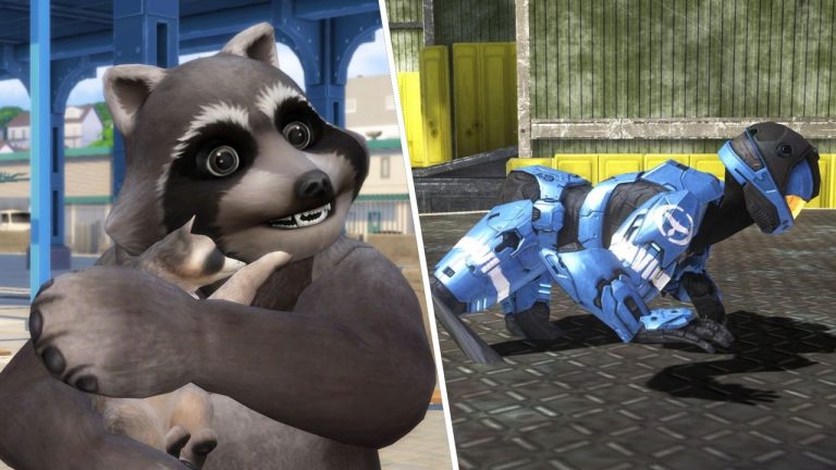 Jimothy, a particularly round raccoon and the internet’s latest sensation, has now broken into games